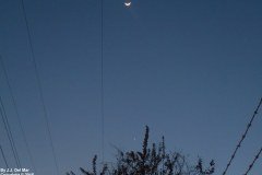 moon-venus-mars-predawn02-scaled
